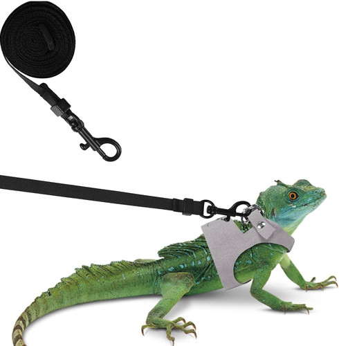 71NuY3LJUBL. AC SL1500 .jpg