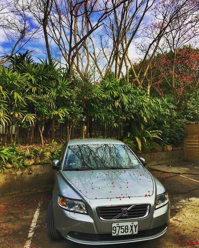 20180218 010137 BfUaBEHBxRo 01.jpg