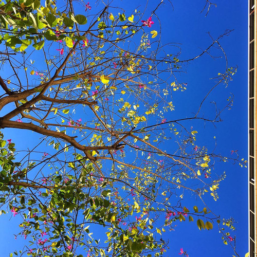 20180215 015835 BfMyJuxhtJ6 01.jpg