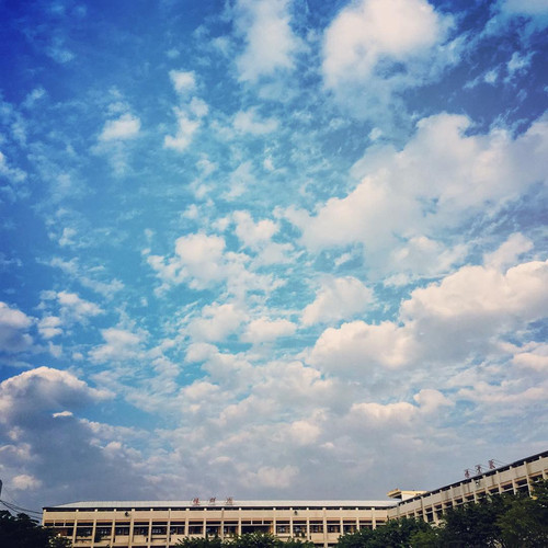 20180121 085125 BeNJhfhhubG 01.jpg