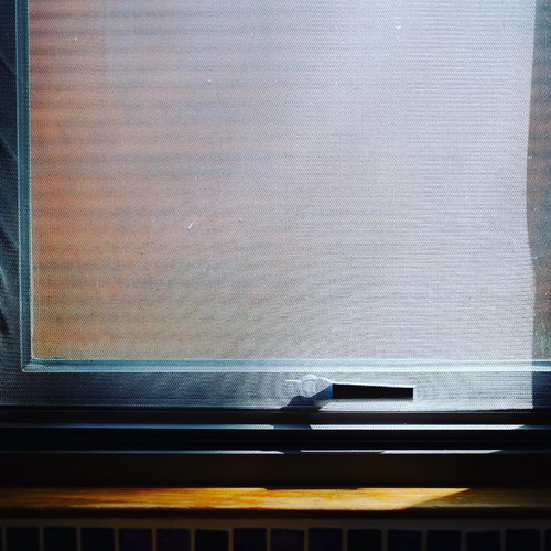 20171012 060420 BaIyHbaAZ0L 01.jpg