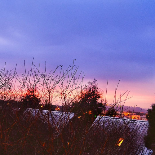 20171009 105310 BaBkySnnJap 02.jpg