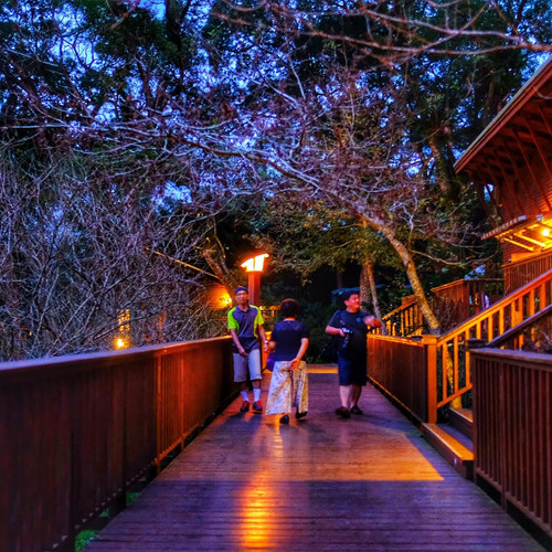 20171009 105310 BaBkySnnJap 04.jpg