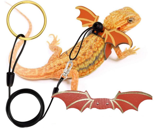 71NuY3LJUBL. AC SL1500 .jpg