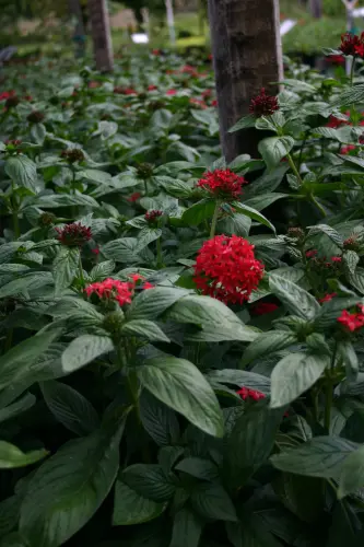 4618826170 78df11fbf8 k.webp