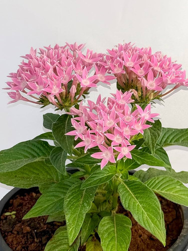 81xkWAbBaRL. AC UF1000,1000 QL80 .jpg