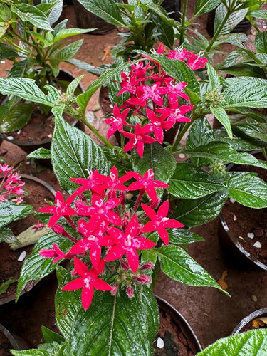 916IWDD9tqL. AC UF1000,1000 QL80 .jpg