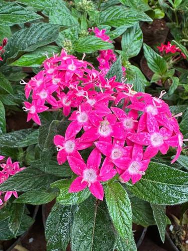 71UjQ8Z6PQL. AC UF1000,1000 QL80 .jpg