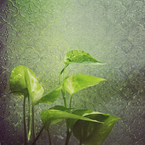 20130717 012744 b2T7AoM4bK 01.jpg