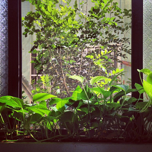 20130606 003948 aMp2DOM4Se 01.jpg