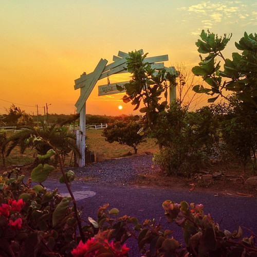 20130419 101042 YSFBf s4RK 01.jpg