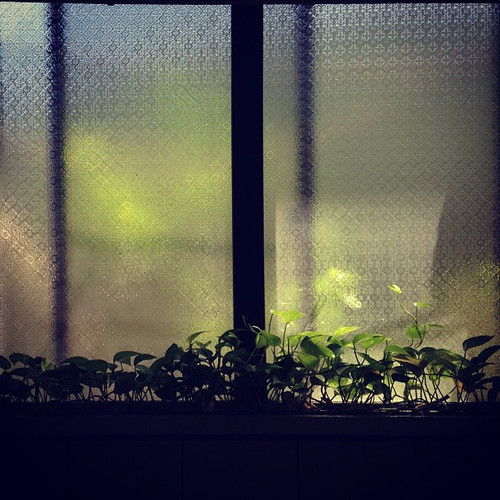 20130530 034350 Z69VzCs4Wr 01.jpg