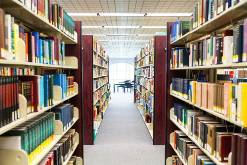 Perpustakaan sekolah.jpg