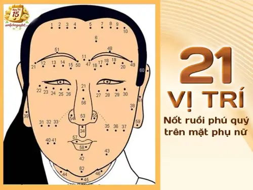 Xem Nốt Ruồi Trong Mệnh Lý Học: Khái Niệm Và Nguyên Tắc.webp