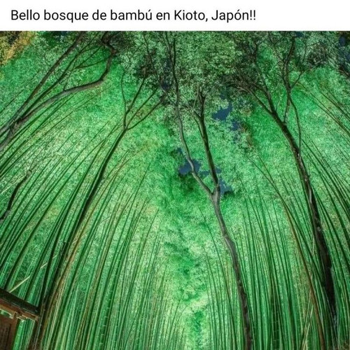 zenfisa.jpg