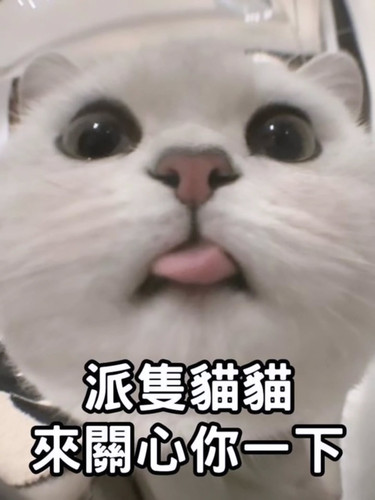 20260116 221947 DTlo0nEEpmh 02.jpg
