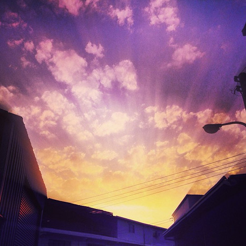 20130219 093647 V6GPdlM4ZL 01.jpg