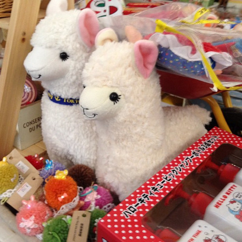 20120613 065514 LzgOmTM4cL 01.jpg