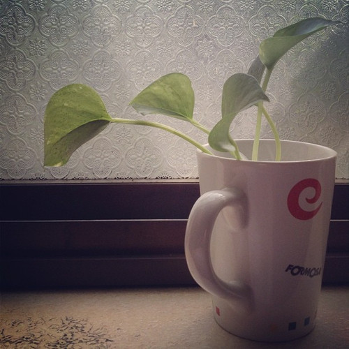 20120707 005606 MwqNNhs4br 01.jpg