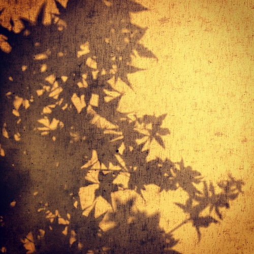 20120530 090517 LPr 59s4Za 01.jpg