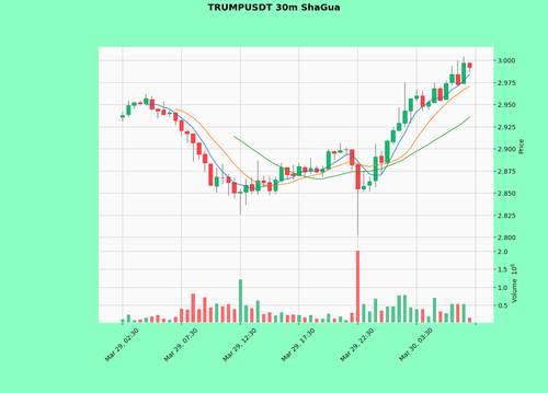 TRUMPUSDT.png