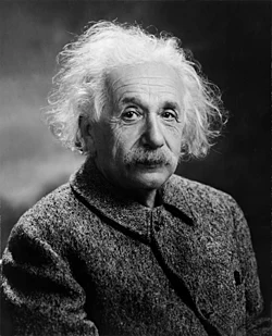 Albert Einstein Head cleaned.jpg.webp