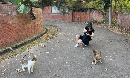 20221114 113343 Ck8JkcKSsK8 01.jpg