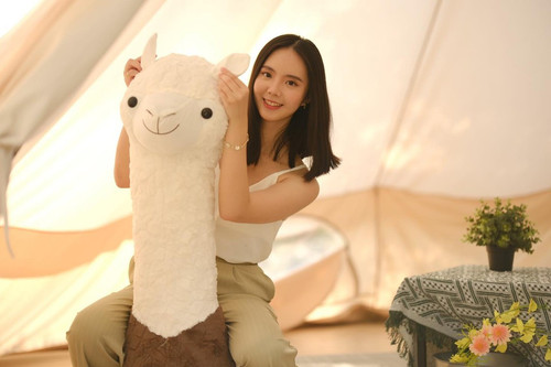 20220919 215427 CitEF01ptFH 01.jpg