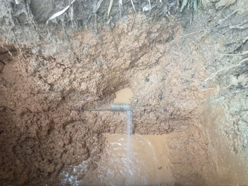 WhatsApp Image 2026 03 30 at 14.29.06.jpg