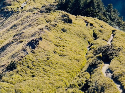 20211231 073823 CYI52oRNxy5 03.jpg