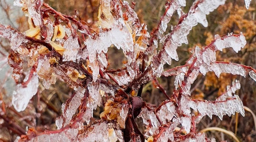 20220101 022207 CYK6dDdp6f0 07.jpg