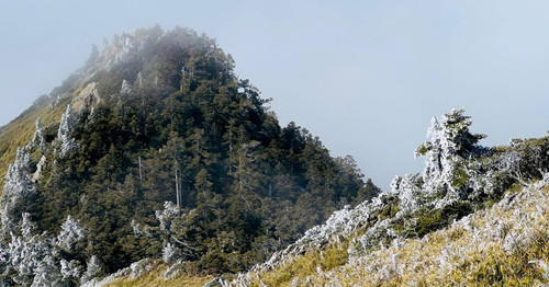 20220101 042056 CYLIDRMghXK 06.jpg