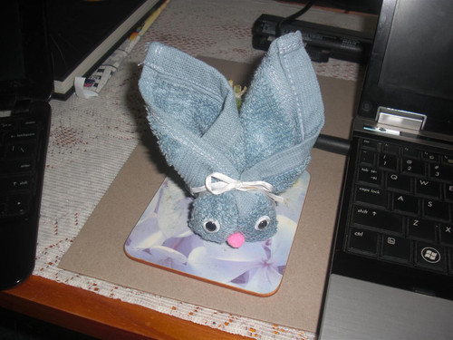 CIMG0120 (Large).jpg
