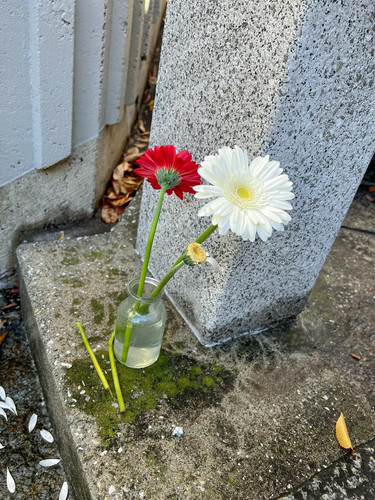 20251125 042838 DRd05tEgcri 03.jpg