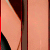 gerv.gif