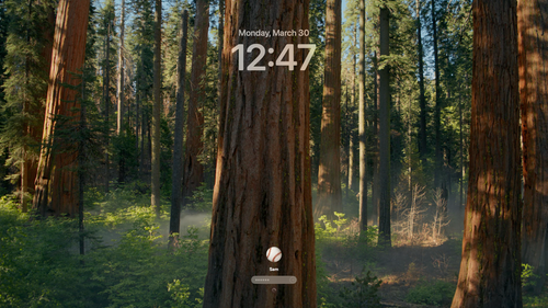 after login small.png