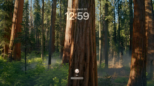 finder desktop s.png