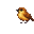 cf502ffe257c.png