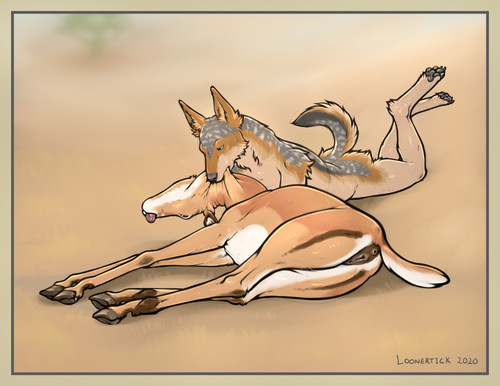 Upgrade3Impala.jpg