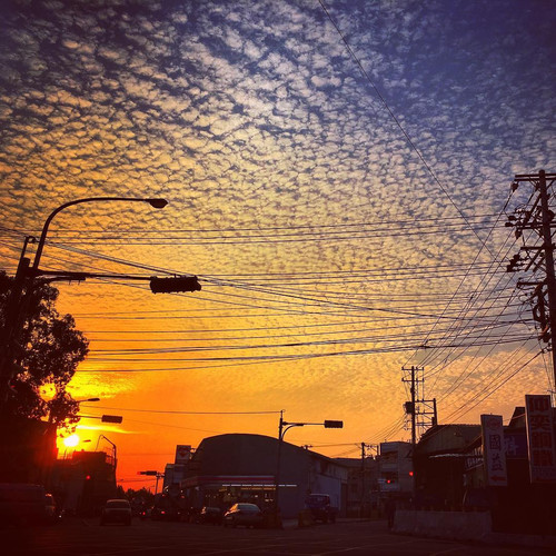 20170405 100627 BSf yexAcLv 01.jpg