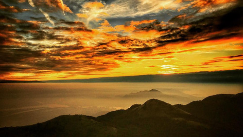 20170129 093917 BP1 NyihI t 01.jpg