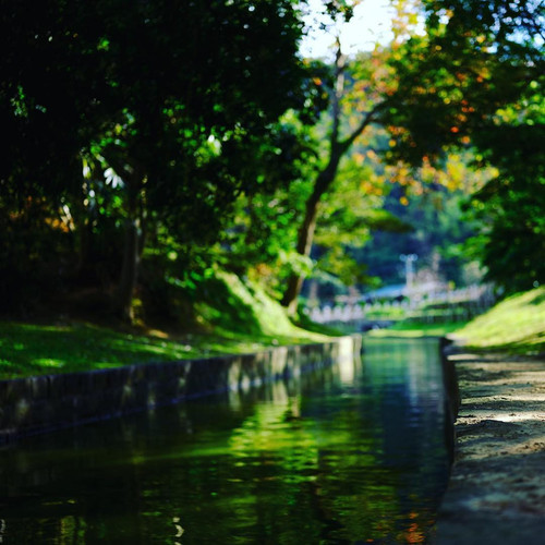 20170727 014003 BXCCqUkANPB 01.jpg