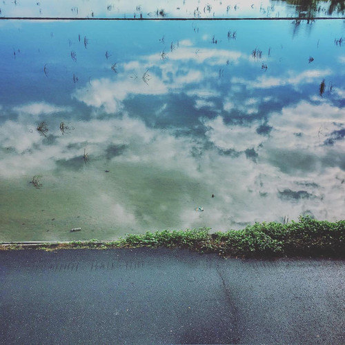 20170101 020338 BOtE0A hX2D 01.jpg