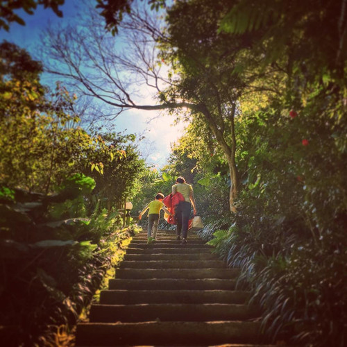 20170128 090831 BPzW5hYBPPh 01.jpg