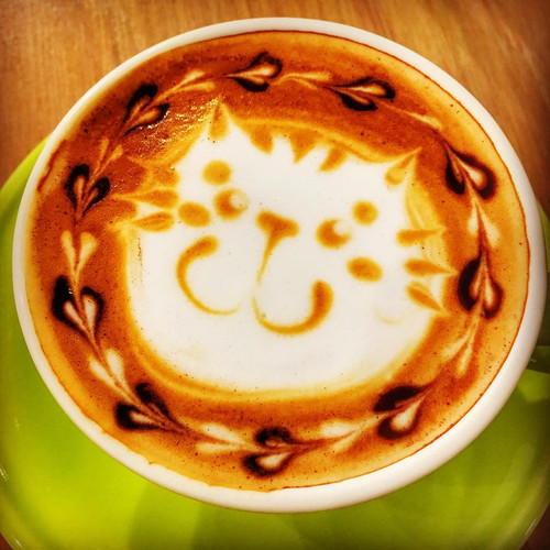 20170702 075044 BWCVNdIAOBT 01.jpg