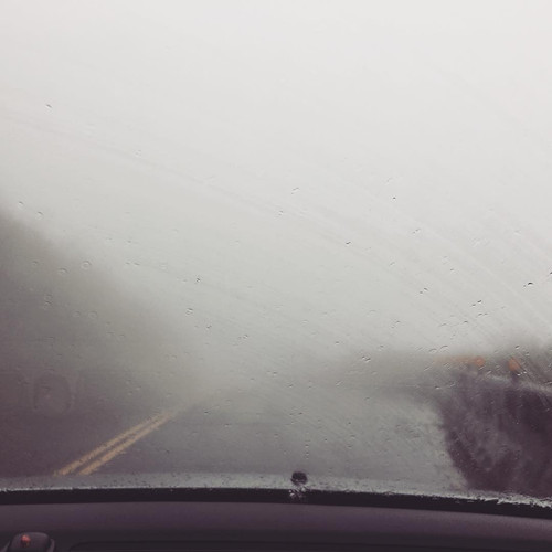 20170130 042444 BP4AAvDB37B 01.jpg