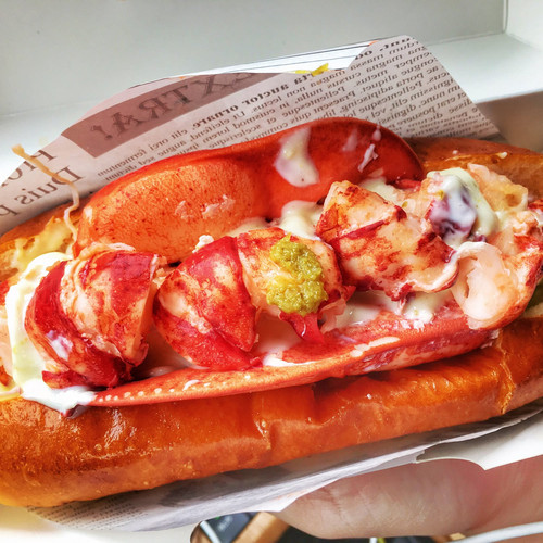 20170527 043619 BUlSV76Asi9 01.jpg