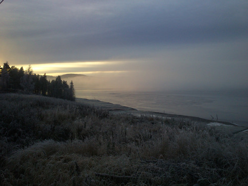 DSC 0005.jpg