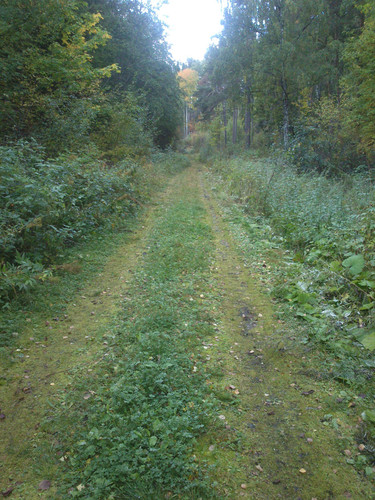 DSC 0025 (4).jpg