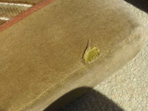 13 P1090147 (Medium).jpg